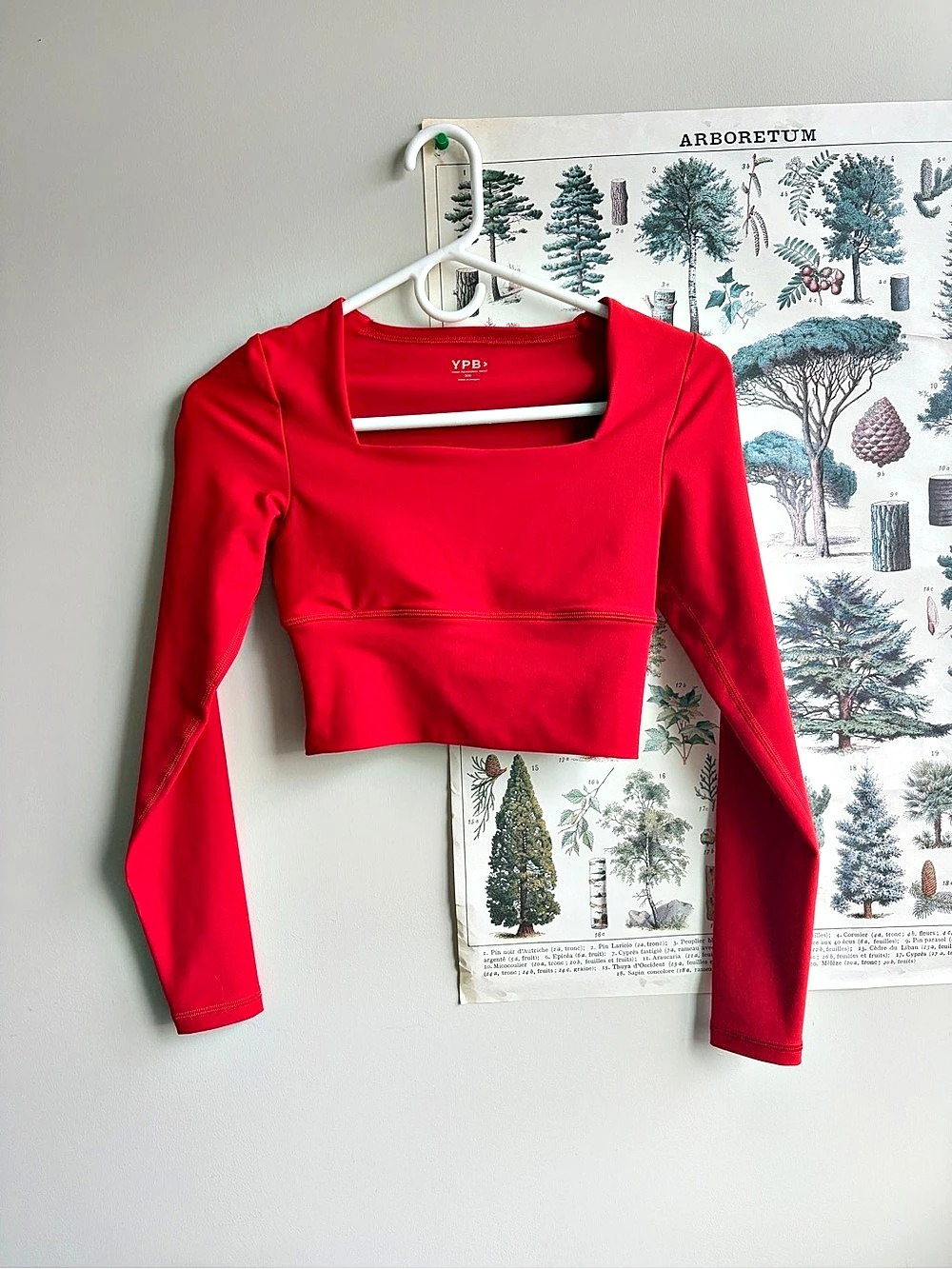 Y.P.B. Red Long Sleeve Crop Top Like New